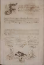 c. 15