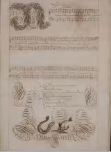 C. 19