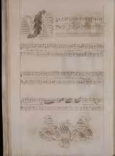 C. 19v