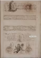 C. 23v