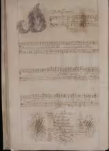 C. 25v