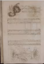 C. 27v