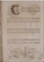 C. 29v