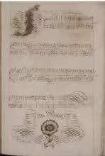 C. 33