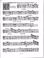 Violoncello
