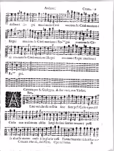 Canto