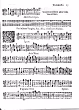 Violoncello