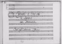 Selve che mi vedeste - D-MÜs, Sant. Hs. 791