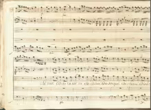 Chi vuol l'ortolanella - I-Nc, Cantate 294 (=25.1.4; =20.2.3)/8