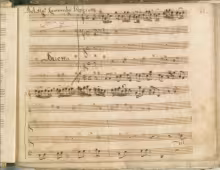 Artaserse. Tu vuoi ch'io viva o cara - I-Nc, Cantate 304 (=34.5.23)/9