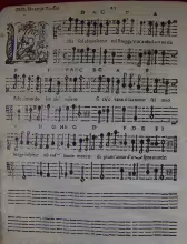 Lilla sol è 'l mio bene - I-Rsc, G.SC 5.E.5.1/10