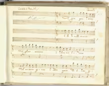 È gran pena l'amare - I-Nc, 33.4.30 (olim Cantate 38)/11