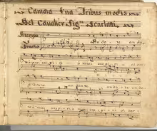 Andate, o miei sospiri, al cor d'Irene - I-Nc, 34.5.4 (= Cantate 255)/1